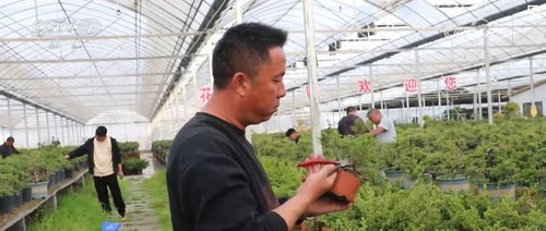 花木产业新 花 样 美丽经济 活力澎湃