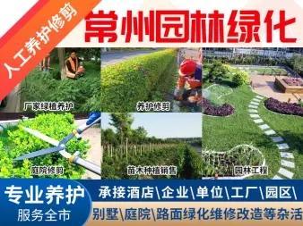常州溧阳城中彩叶草电话_常州溧阳城中彩叶草价格 - 58同城