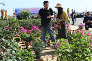 光山 在国庆佳节即将来临之际举办首届苗木花卉展销活动