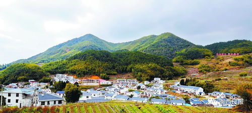 十大措施,每年18亿 乡村振兴干货来了