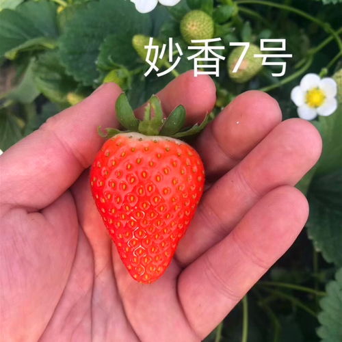 北京